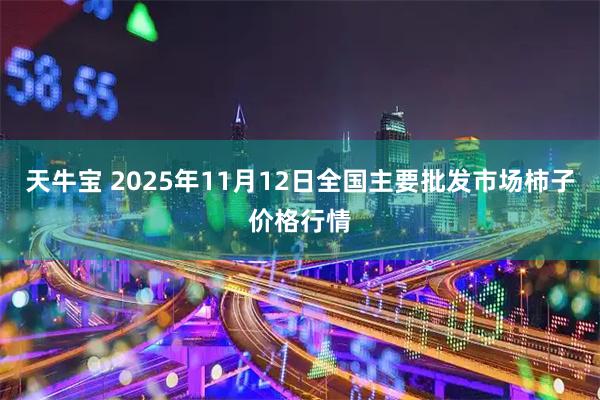 天牛宝 2025年11月12日全国主要批发市场柿子价格行情