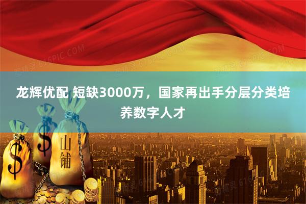 龙辉优配 短缺3000万，国家再出手分层分类培养数字人才
